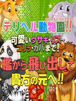 デリヘル動物園開園です（20歳） デリヘル動物園　柏店